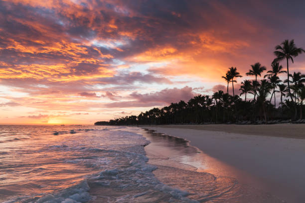 istock Dominican Republic, coastal landscape 685037562