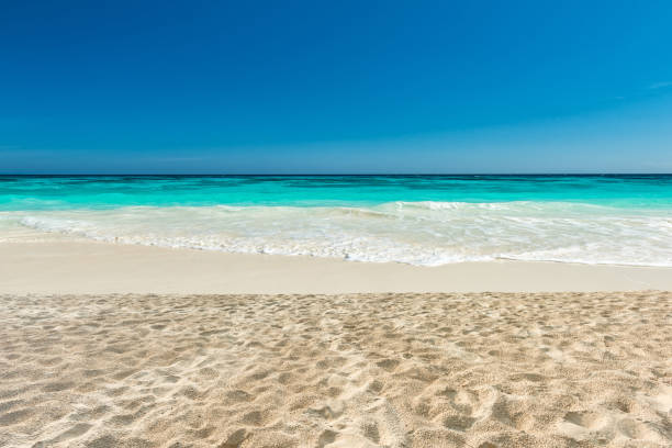 istock Beach and tropical sea 685042654