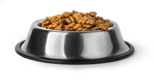 istock Dog food in bowl, isolated 685042764