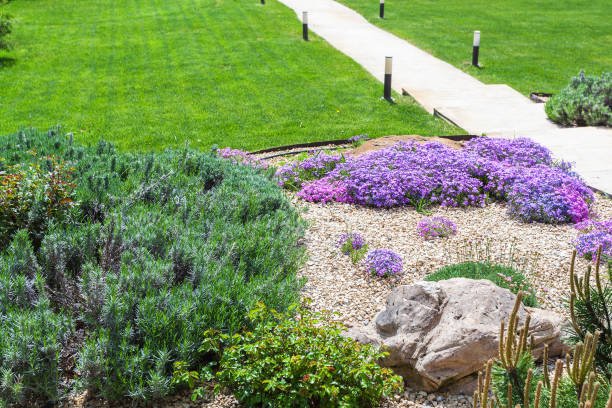 istock alpine garden and sloped lawn with path 685043062