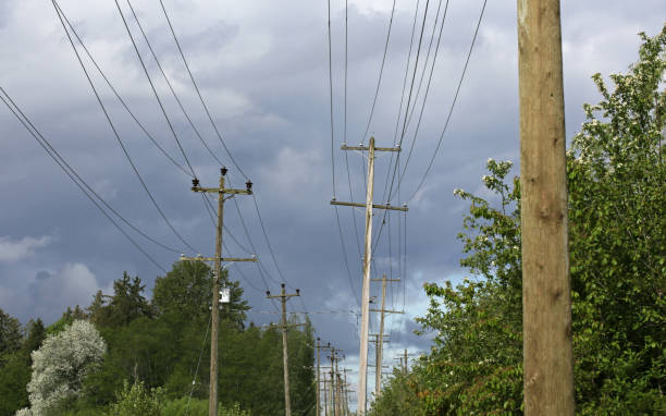 istock Utility Poles Along Tree-lined Path, Fraser Valley, British Columbia, Canada in Springtime 685043294
