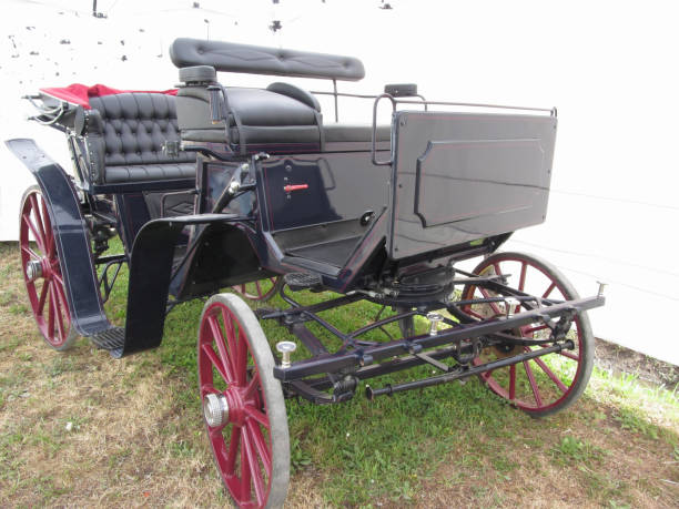 istock Old-fashioned horse carriage on green grass 685046322