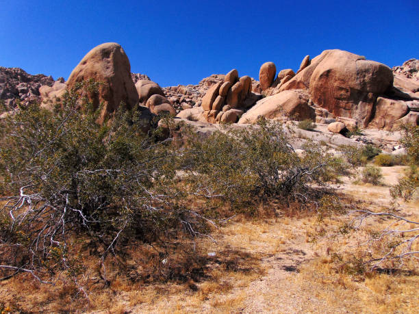 istock A Rocky Landscape in the SoCal Desert 685046800