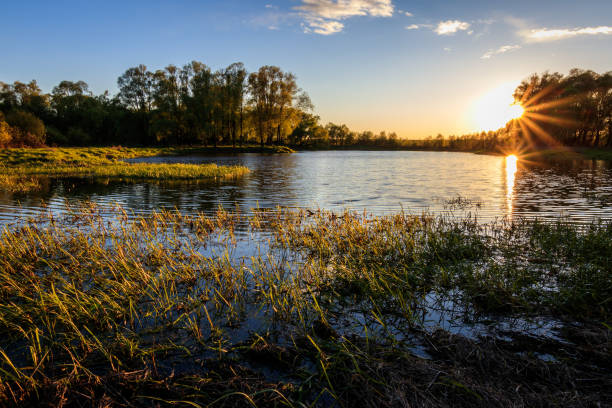 istock Sunset above the river at summer evening with willow 685057498
