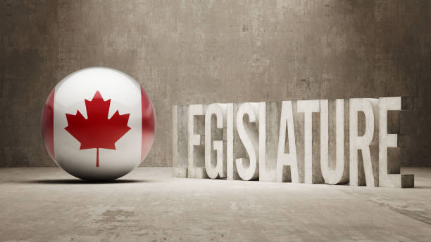 illustrazioni stock, clip art, cartoni animati e icone di tendenza di concetto legislativo - canadian flag flag trial justice