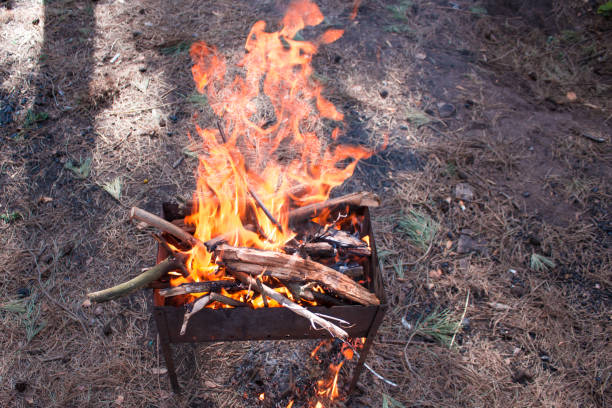 istock Fire inside the brazier in the forest in summer time. 685063008