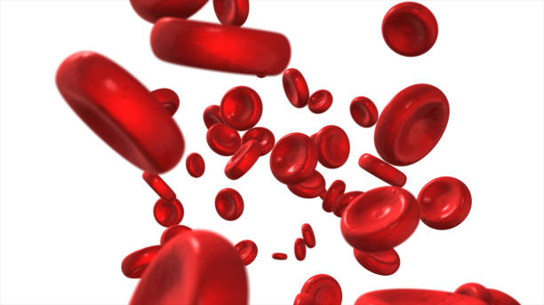 istock Flying blood cells isolated on white background 3d illustration 685063312