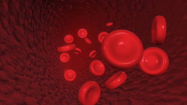 istock Red blood corpuscles move along the artery 3d illustration 685065906