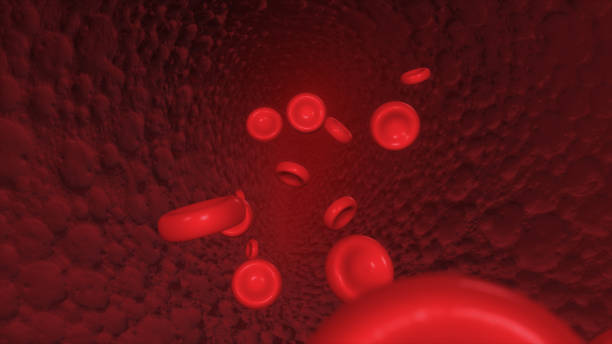 istock Red blood corpuscles move along the artery 3d illustration 685065944