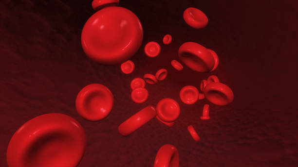 istock Red blood corpuscles move along the artery 3d illustration 685065966