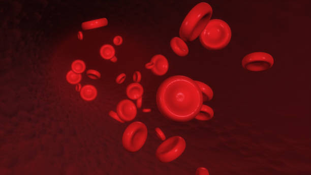 istock Red blood corpuscles move along the artery 3d illustration 685065982