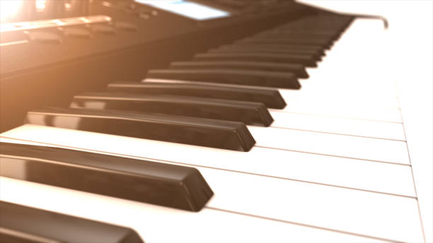 istock Piano keyboard in black and white 685066024
