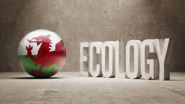 ilustrações, clipart, desenhos animados e ícones de conceito de ecologia - welsh flag welsh culture flag green