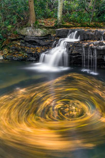 Photo of Tolliver Falls Swirl - Maryland