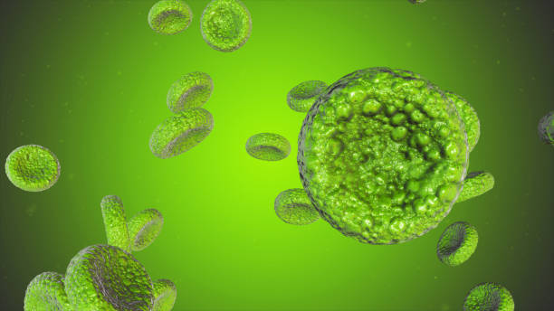 istock Realistic rendering of bacteria - in green colors 685071030