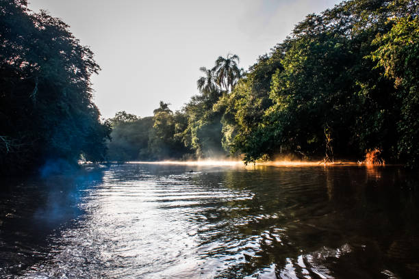 istock Dramatic landscape on a river in the jungle state Argentina 685088850