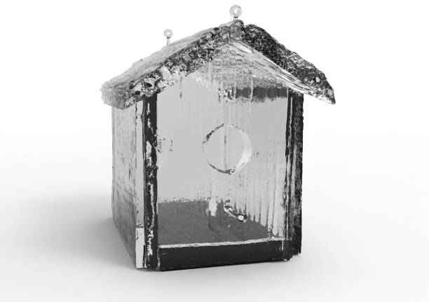 3D render isolate bird house / wooden house