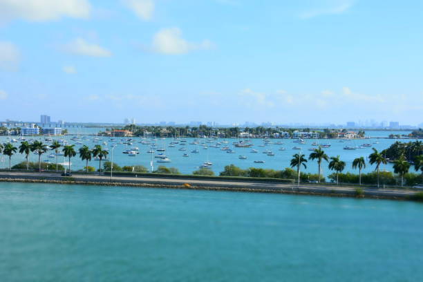 istock Aerial view of South Miami Beach 685147078