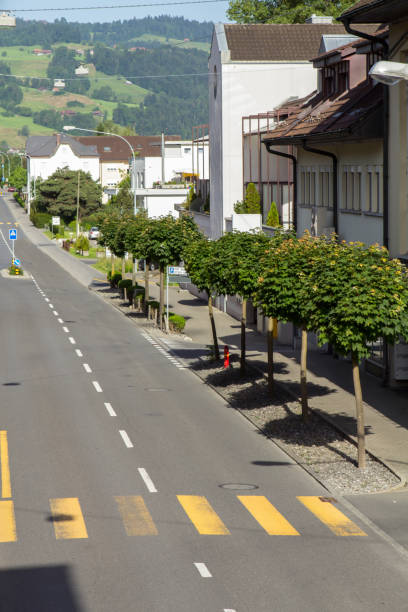 istock Swiss village 685151160
