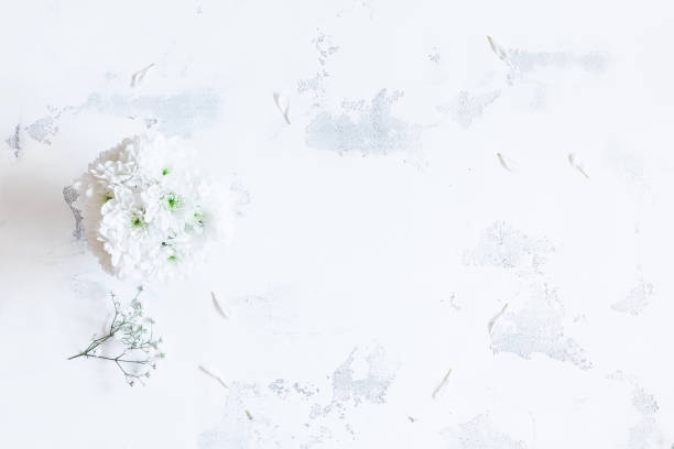 istock Chrysanthemum flowers on white background. Flat lay, top view 685165002