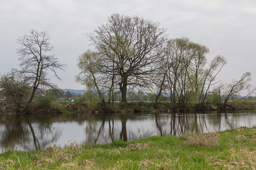 the river Naab next to Schwandorf in bavaria in spring