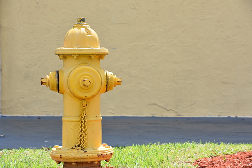 yellow fire hydrant in Miami