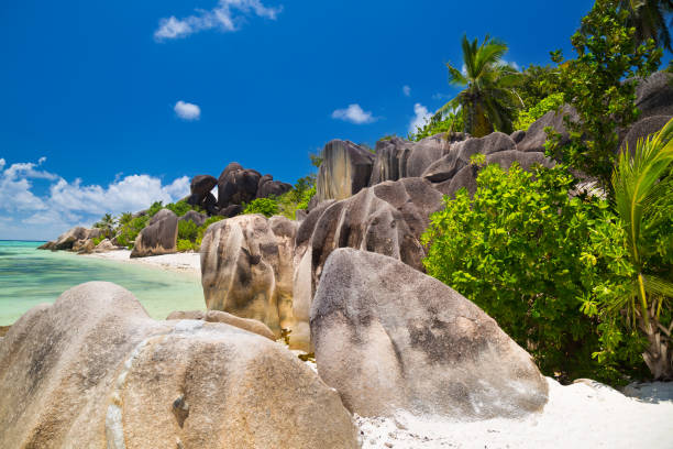 istock Granite boulders of amazing beach Anse Source d'Argent 685168734