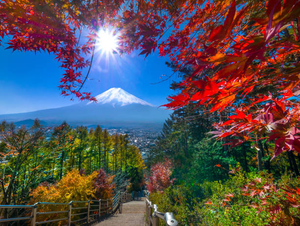 Mt. Fuji in autumn