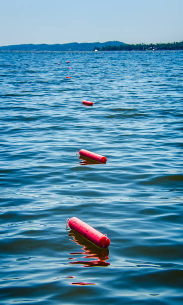 istock Noodle or jug fishing for catfish. 685203318