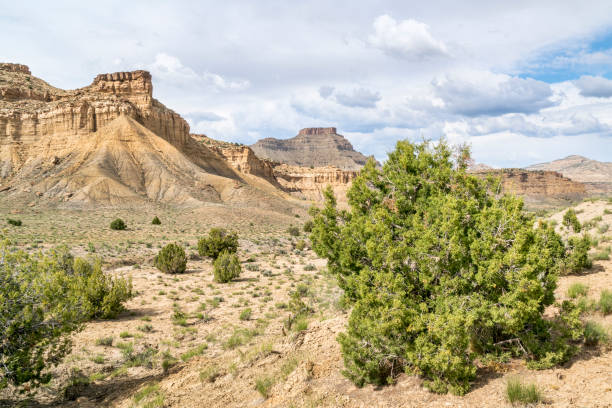 istock desert landscape of Book Cliffs in eastern Utah 685209694