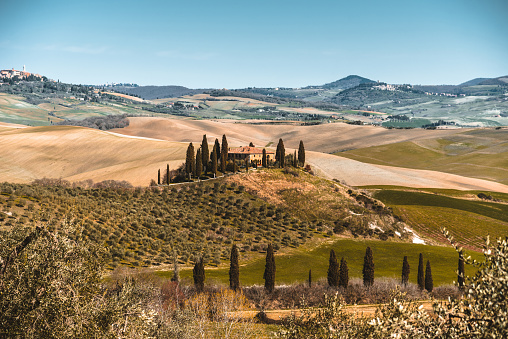 Val d'orcia landscape with wheat hills