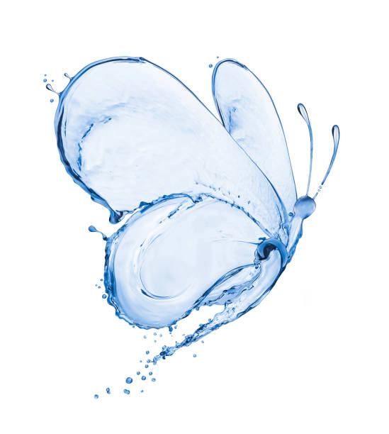 istock Butterfly made of water splashes isolated on white background 685215426