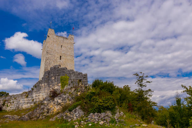istock Aerial view on Anacopia fortress on Iverian Mountain 685217714