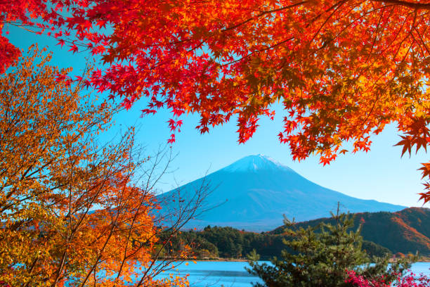 istock Mt. Fuji in autumn 685226326