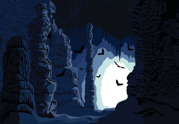 векторная подземная карстовая пещера с летучими мышами - stalagmite stock illustrations