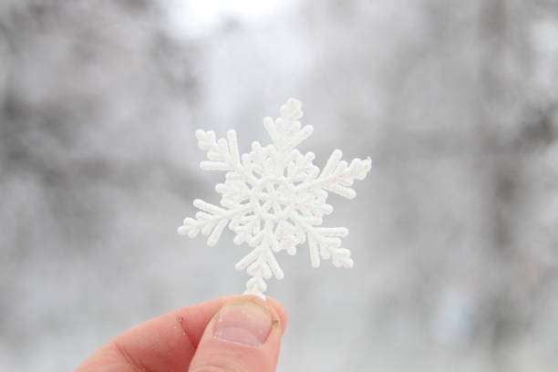 istock winter, snow idea, hand holding a snowflake 685229370