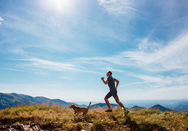 el hombre corre con su perro beagle en la cima de la montaña - footpath hiking walking exercising fotografías e imágenes de stock