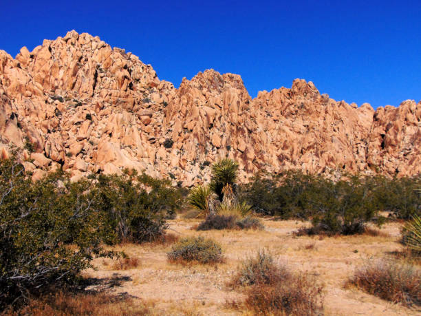istock A Rocky Landscape in the SoCal Desert 685238796