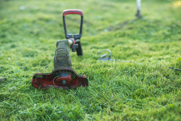 istock String trimmer lies on mown lawn middle of the yard 685244194
