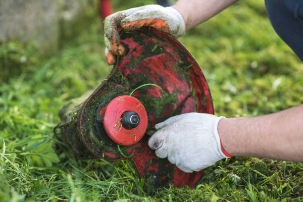 czyszczenie nożyc do sznurków po koszeniu trawy, przepływ pracy - lawn mower red plant lawn zdjęcia i obrazy z banku zdjęć