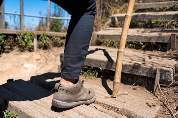 istock Hiker walks on Kew Mae Pan Nature Trail 685244364