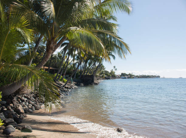 istock Beach in Lahaina Maui Hawaii 685247420