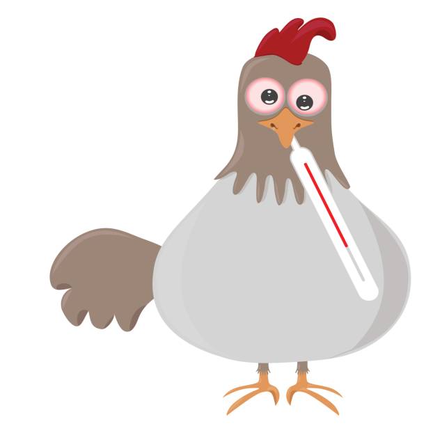 インフルエンザのセロメーターを持つ鳥 - swine flu点のイラスト素材／クリップアート素材／マンガ素材／アイコン素材