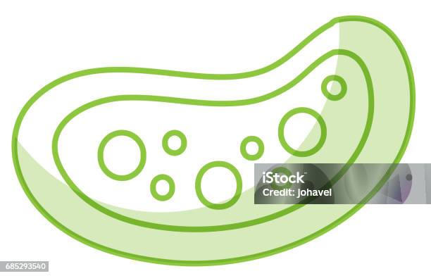 Bacterial Cell Structure Icon Stock Illustration - Download Image Now - Bacterium, Biological Cell, Biology