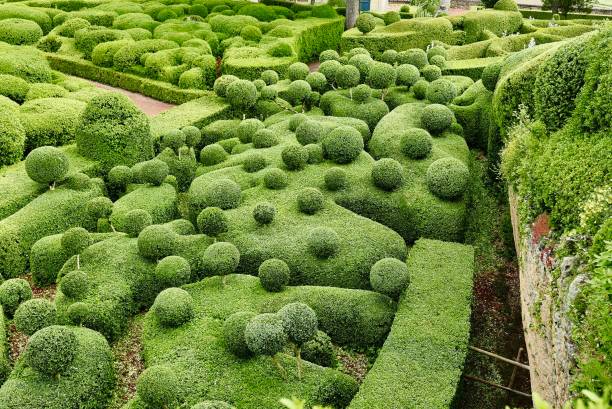 istock French clipped Garden 685296156