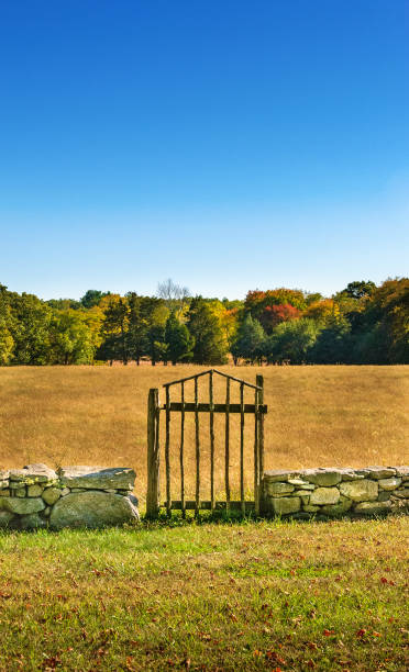 Long view of handmade gate in dry fit stone fence, fallow meadows beyond, and forest on the horizon.