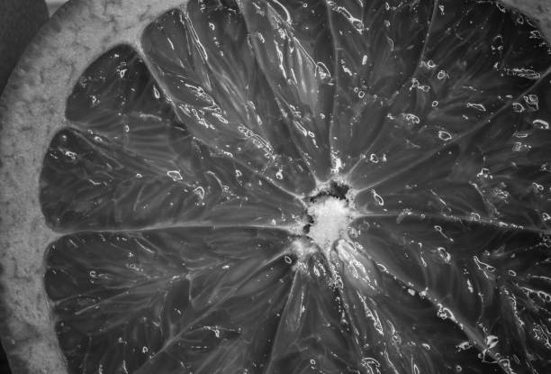 istock Grapefruit citrus fruit close up, black and white color 685386774