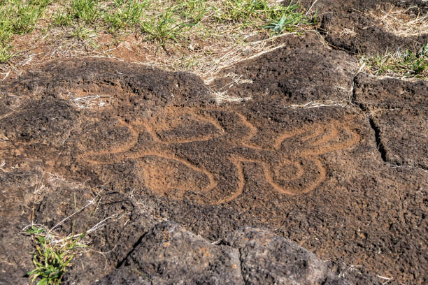 incisioni di birdman petroglyph vicino alla piattaforma ahu tongariki - isola di pasqua, cile - culto dell'uomo uccello foto e immagini stock