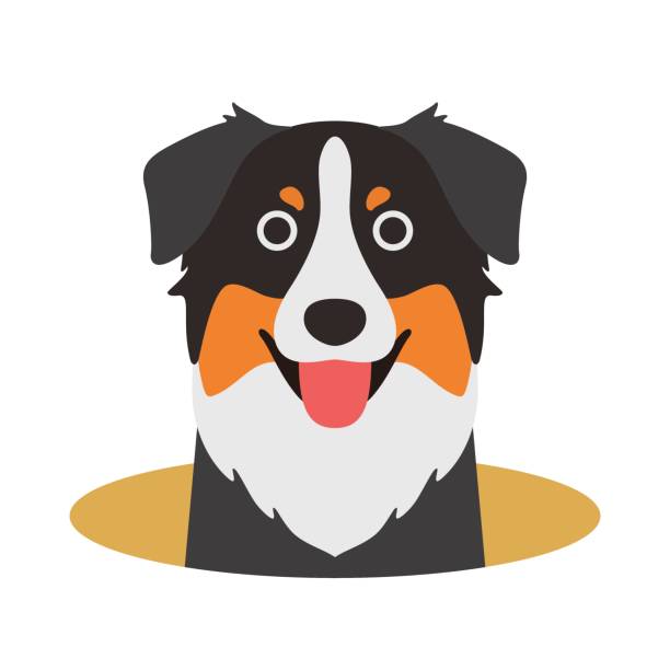 호주 목 자 개 구멍에 보고, 벡터 일러스트 레이 션 - australian shepherd stock illustrations