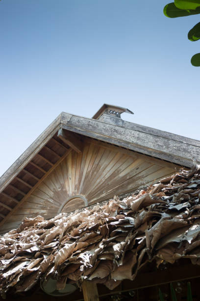 istock Traditional Architecture Of Dried Leaves Roof 685391962